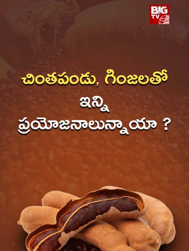 చింతపండు, గింజలతో ఇన్ని ప్రయోజనాలున్నాయా
