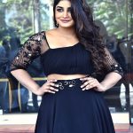 Dimple Hayathi: డస్కీ బ్యూటీ  డింపుల్‌ హయాతి.. బ్లాక్ డ్రస్ లో  మైండ్ బ్లాక్ చేసేస్తుందిగా..