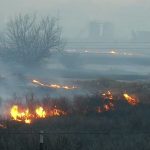Wildfires in Texas: టెక్సాస్‌లో కార్చిచ్చు.. సురక్షిత ప్రాంతాలకు ప్రజల తరలింపు..