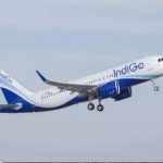 cockroaches on Indigo Airlines flight: ఇండిగో ఎయిర్‌లైన్స్ ఫ్లైట్ లో బొద్దింకలు వీడియో వైరల్
