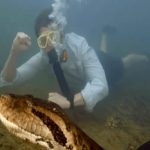 World’s Largest Snake: ప్రపంచంలోనే అతిపెద్ద పాము..  26 అడుగులు.. 440 lbs బరువు.. వామ్మో చూస్తే అంతే సంగతి!