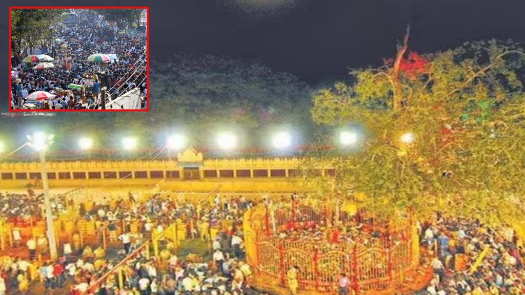 Medaram Jatara 2024