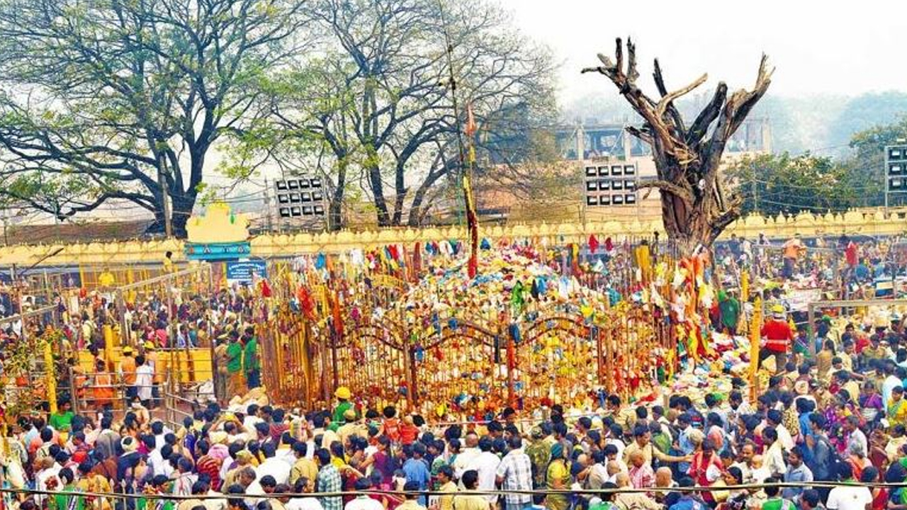Sammakka Sarakka Jatara updates
