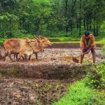PM- KISAN : పీఎం కిసాన్‌ పథకం.. నిధులపెంపుపై కేంద్రం క్లారిటీ..
