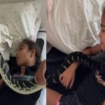 Snake Viral Video : భారీ పాముతో నిద్రిస్తున్న చిన్నారి..!