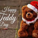 Valentine’s Week – Teddy Day: టెడ్డీ డే.. రంగుల టెడ్డీబేర్‌ల ప్రాముఖ్యత ఇదే!