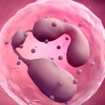 Cancer : క్యాన్సర్‌ కణితలు పెరగడానికి అసలు కారణం.. నిజాలు తెలిస్తే షాక్ అవుతారు..?