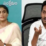 YS Sharmila Dharna : ఏపీ ప్రత్యేక హోదాపై షర్మిల ఫోకస్.. శరద్ పవార్, తిరుచ్చిశివతో భేటీ