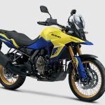 Suzuki V-Strom 800DE: మార్కెట్‌లోకి మరో కాస్ట్‌లీ బైక్.. ధర తెలిస్తే అవాక్కవ్వాల్సిందే?