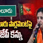 BJP on Eluru Parliament Seat: ఏలూరు పార్లమెంట్ సీటు పై బీజేపీ కన్ను..