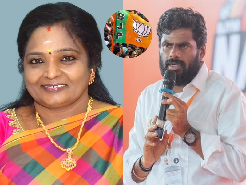 New Feature in WhatsApp: వాట్సప్ నుంచి క్రేజీ ఫీచర్.. 30 సెకన్లు కాదు.. ఇక నుండి స్టేటస్ నిమిషం పెట్టొచ్చు!