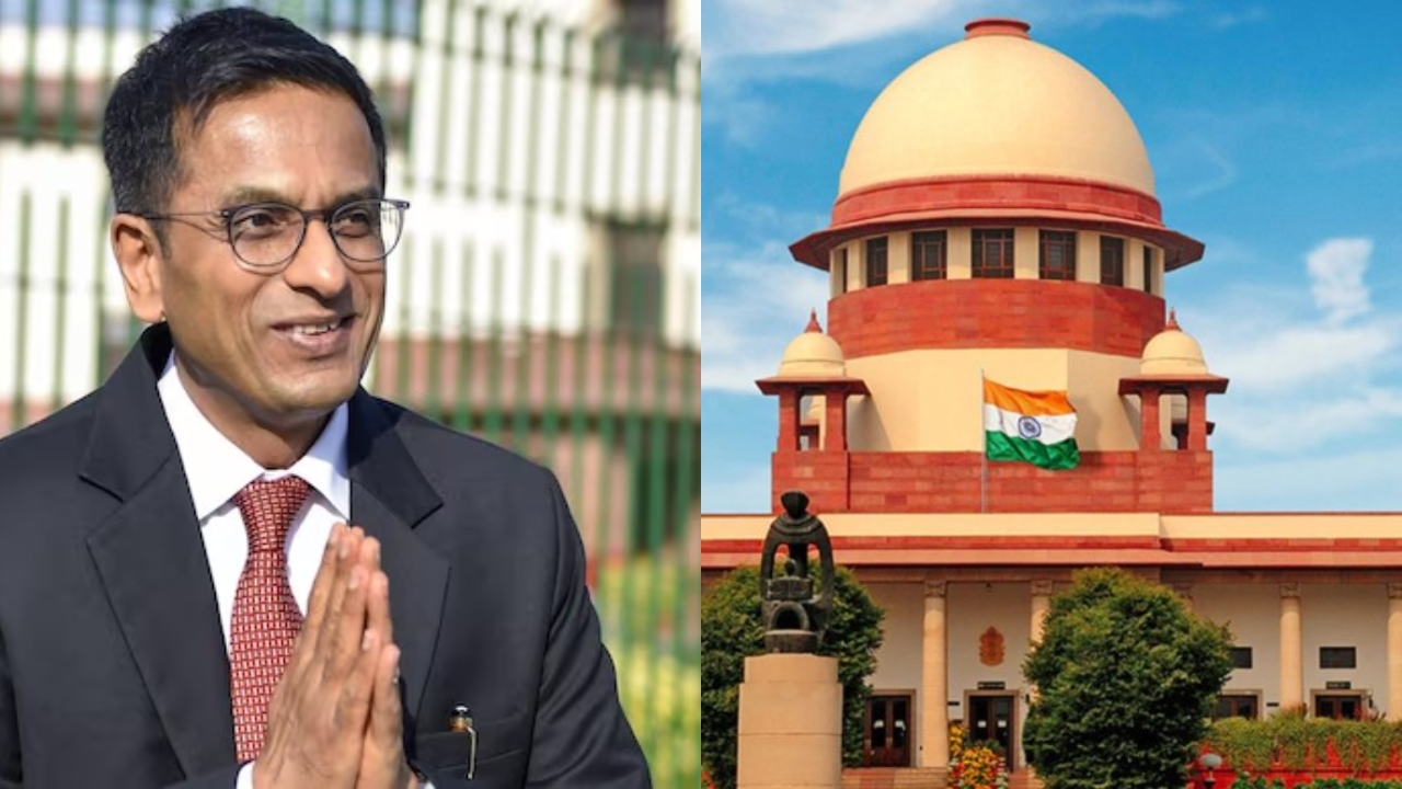 CJI Chandrachud