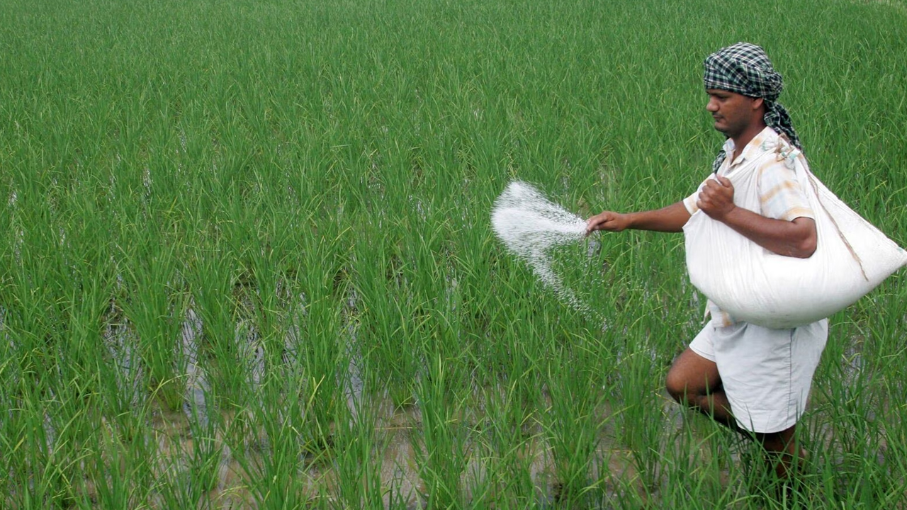 Fertiliser Subsidy