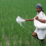 Fertiliser Subsidy : ఖరీఫ్ సీజన్.. రైతులకు ఎరువులపై భారీ సబ్సిడీ..