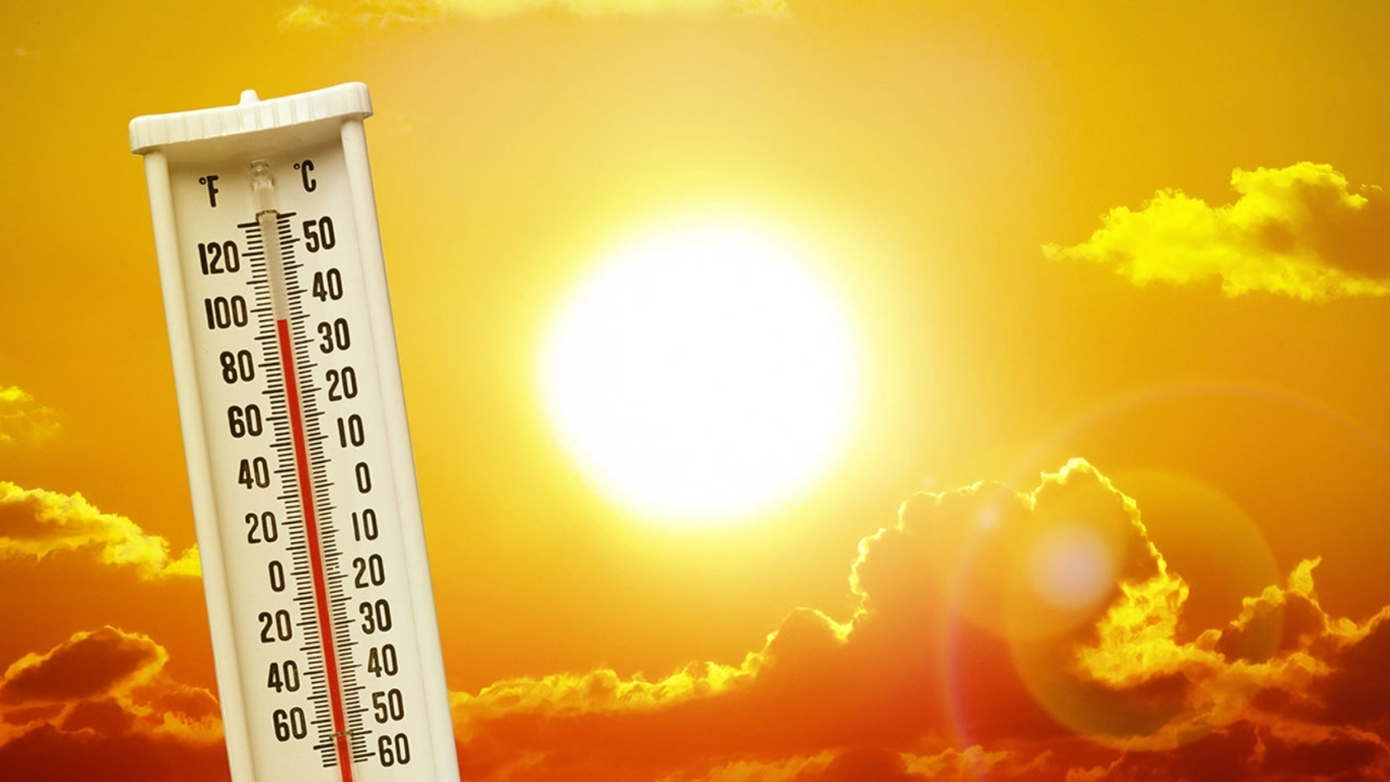 Heat Waves in telangana