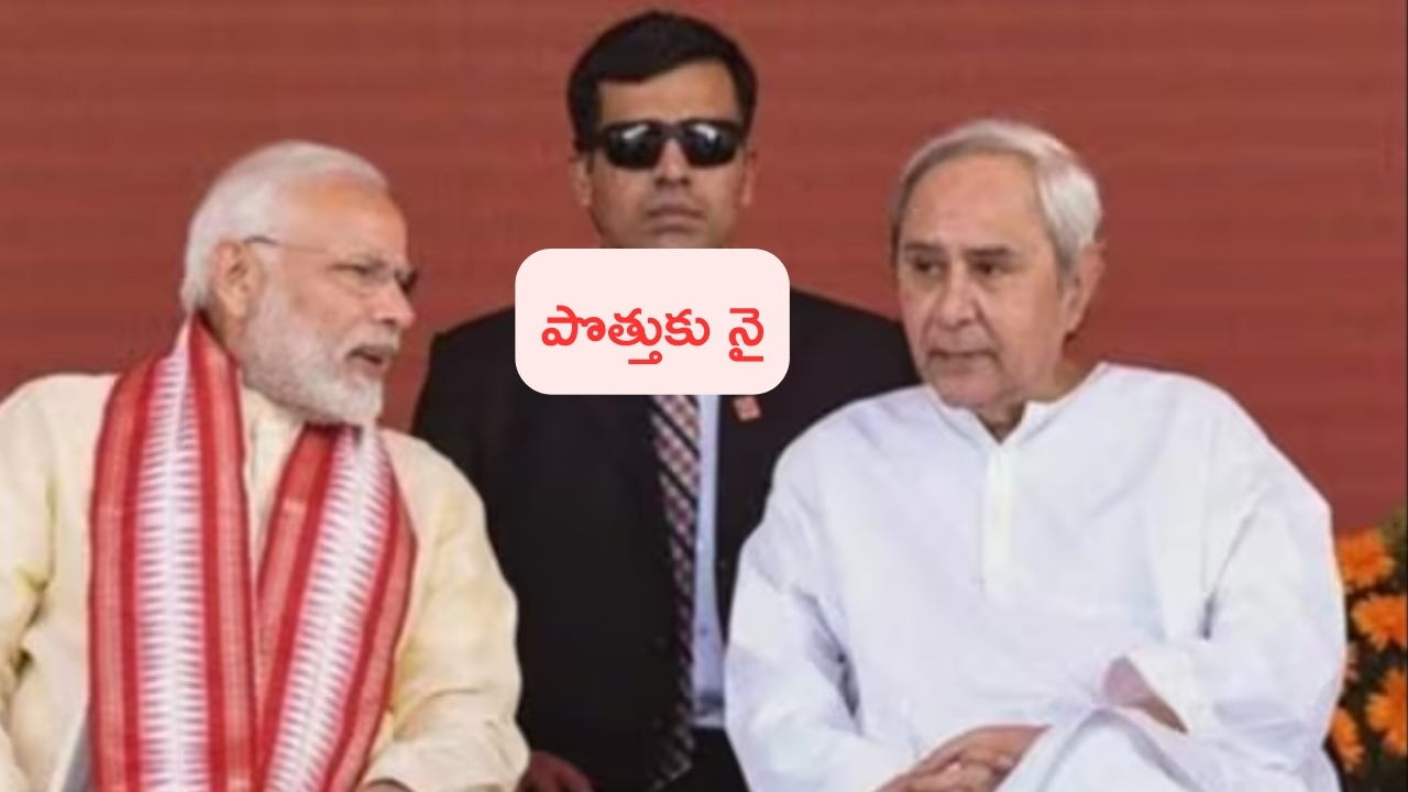BJP Fights Solo In Odisha In Lok Sabha & Assembly Polls 2024