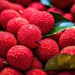Kafal Fruit Benefits : ప్రధాని మోదీకి ఇష్టమైన కఫాల్ ఫ్రూట్‌.. దీని స్పెషల్ ఎంటో తెలుసా!