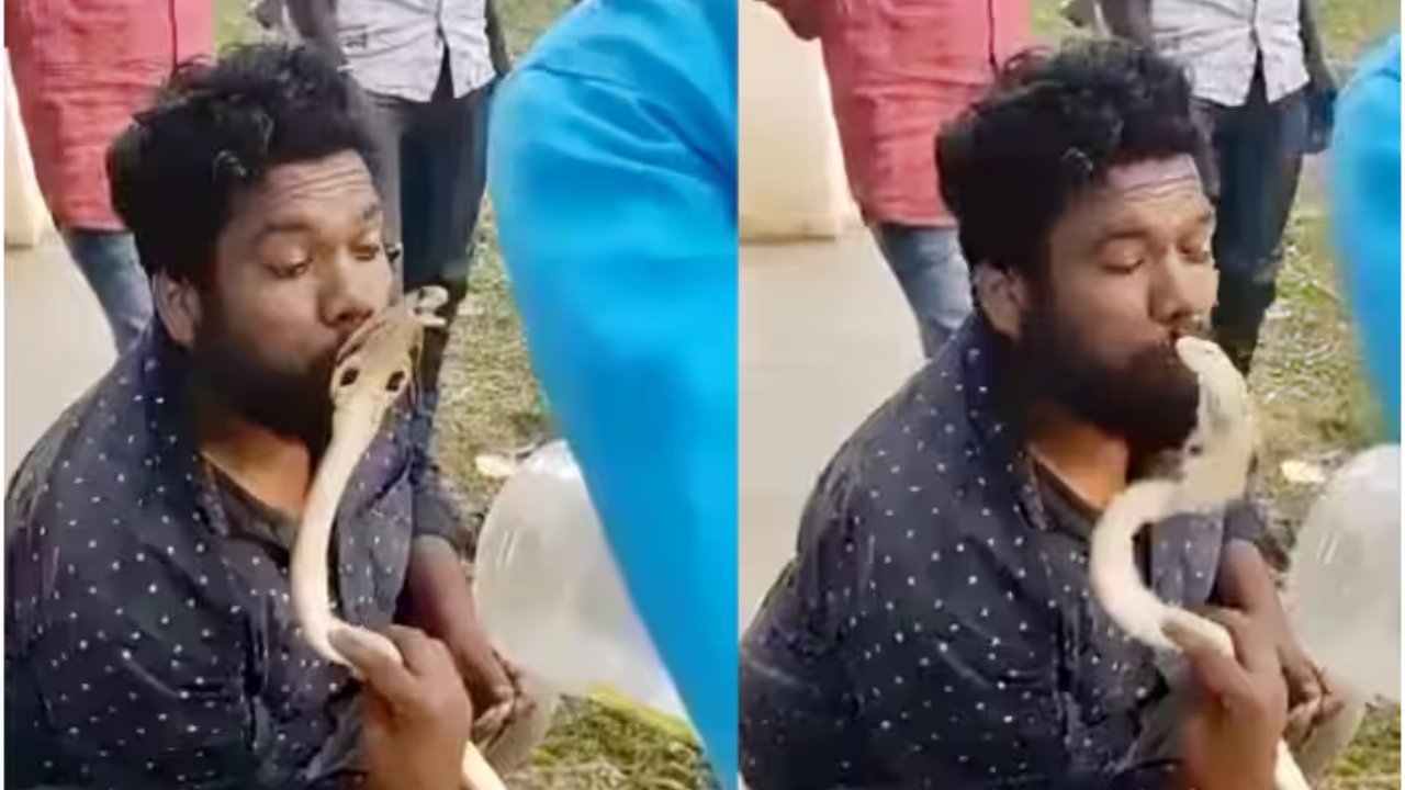 Snake Bites Man On Lips