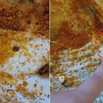 Cockroaches In Dosa :ప్లెయిన్​ దోశ ఆర్డర్​ చేస్తే.. బొద్దింకల దోశ ఇచ్చారు!