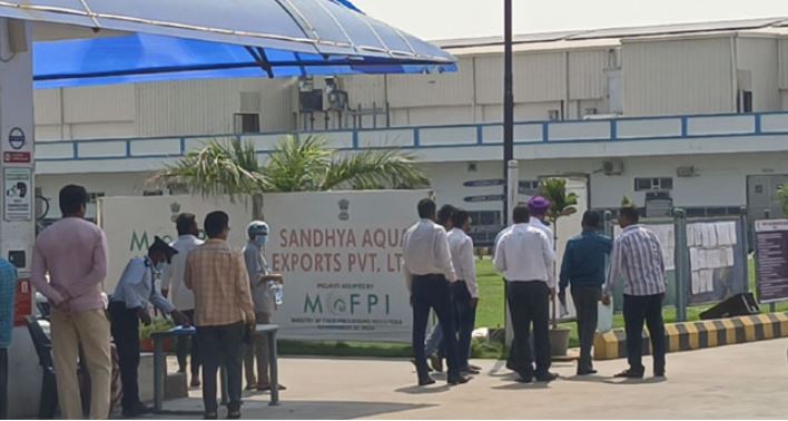 CBI RAIDS ON SANDHYA AQUA COMPANY AT KAKINADA 