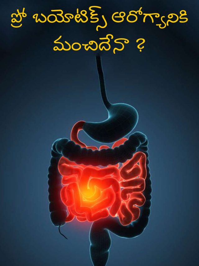 ప్రో బయోటిక్స్ ఆరోగ్యానికి మంచిదేనా ?