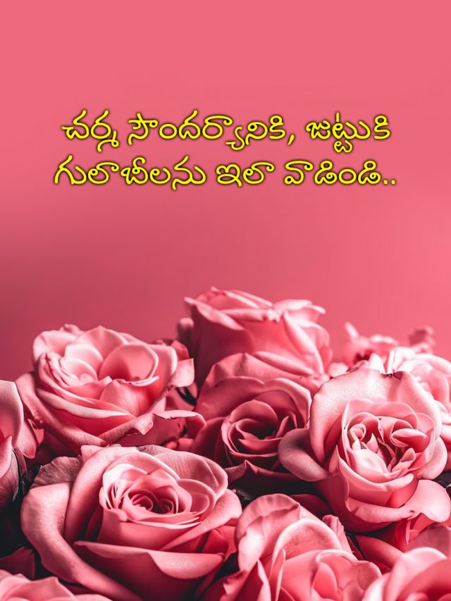 Health Benefits Of Rose
