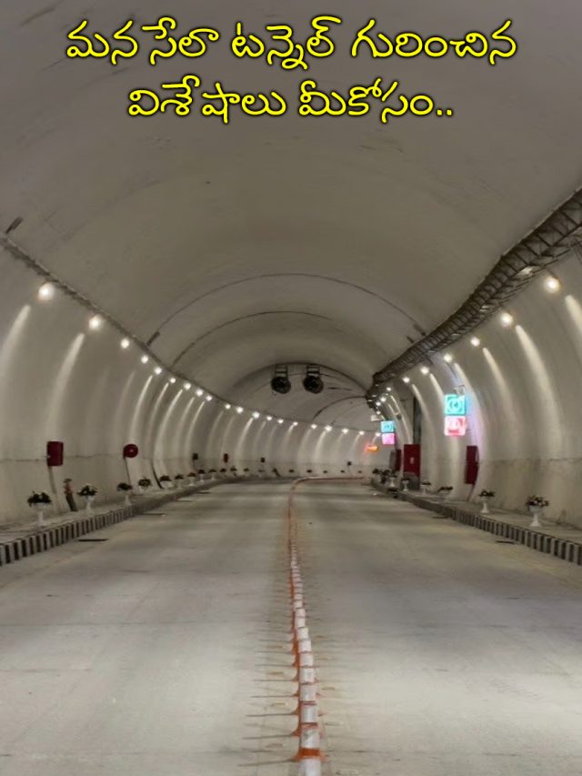 మన సేలా టన్నెల్ గురించిన విశేషాలు మీకోసం..