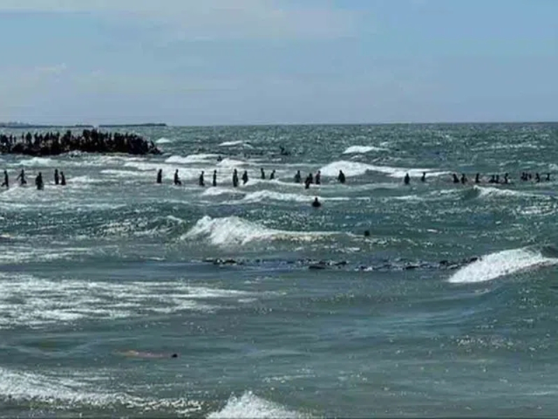18 People died in Gaza: గాజాలో దారుణం.. ఆహారం కోసం వెళ్లి 18 మంది మృతి (VIDEO)