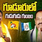 Election Heat In Gudur: మంత్రాలయం టీడీపీలో ఆరని మంటలు.. వైజాగ్‌ సౌత్‌లో వంశీకి సుర్రు సుమ్మే