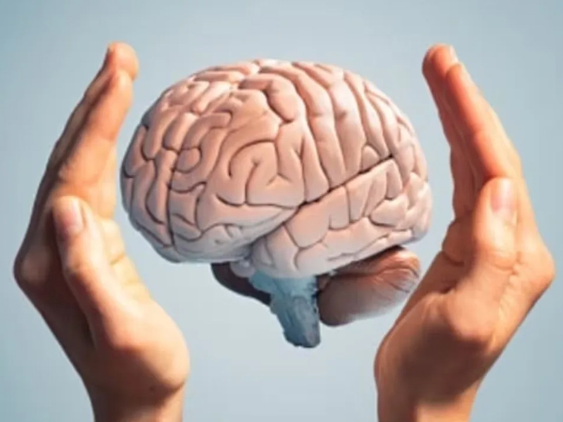 Human Brain: రోజురోజుకు పెరుగుతున్న మనిషి మెదడు సైజు..!
