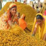 Turmeric Record Price in Nizamabad : 13 ఏళ్ల తర్వాత రికార్డు ధర పలికిన పసుపు ధర.. క్వింటా రూ.17 వేలకు పైనే..