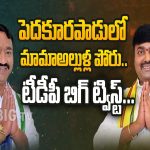 Namburi Sankar Rao Vs Bhashyam Praveen: పెదకూరపాడులో మామా అల్లుళ్ల మధ్య ఎన్నికల యుద్ధం.. ఓటర్లు ఎటువైపు?