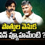 Pawan Kalyan: పొత్తుల వెనుక పవన్ వ్యూహమేంటి ?