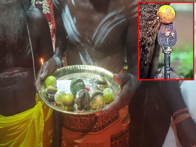 Lemons Auction in Temple : 9 నిమ్మకాయలు రూ.2.36 లక్షలు.. ఎందుకంత స్పెషల్ ? ఏముంది వాటిలో ?
