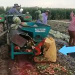 Viral Video : పుచ్చకాయల్ని మెషీన్ లో వేసి క్రాషింగ్.. ఫైరవుతున్న నెటిజన్లు.. ఇంతకీ వాళ్లేం చేశారు ?