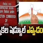 Lok Sabha Elections Schedule: వారం రోజుల్లో లోక్ సభ ఎన్నికల షెడ్యూల్ ..!