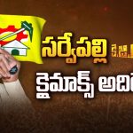 Sarvepalli Politics: సర్వేపల్లి కె.జి.ఎఫ్‌ క్లైమాక్స్ అదిరేనా?