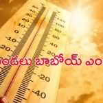 AP Weather Update: వామ్మో ఎండలు.. ఏపీలో ఎండ తీవ్రతపై వాతావరణ శాఖ హెచ్చరిక