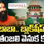 Baba Ramdev Patanjali Case: బాబా.. బ్లాక్‌షీప్! పతంజలి వెనుక కథ!