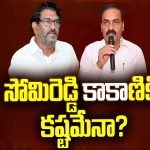 Somireddy Vs Kakani Govardhan Reddy : సోమిరెడ్డి కాకాణికి కష్టమేనా?