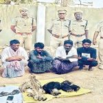 Bear Hunters Arrested: ఎలుగుబంటి వేట.. పురుషుల్లో లైంగిక పటుత్వం కోసమేనట..!