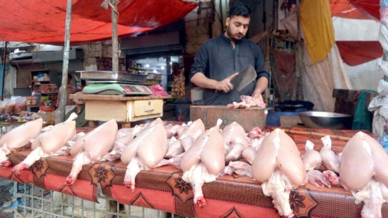 Chicken and mutton shops