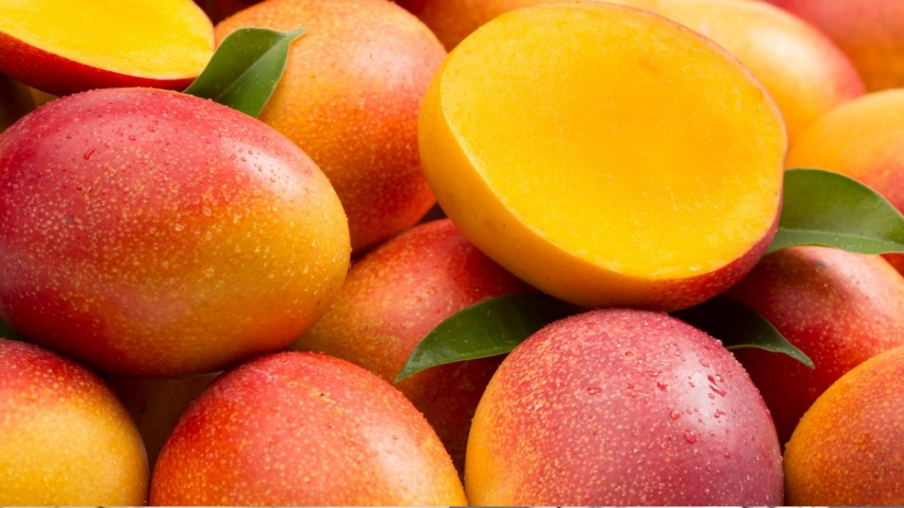 Mangoes: తినే ముందు మామిడి పండ్లను నీటిలో నానబెట్టండి.. లేదంటే ప్రమాదంలో పడతారు !