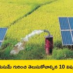 PM KUSUM Scheme: PM KUSUM స్కీమ్ గురించి ఈ 10 విషయాలు తెలుసుకోండి..!
