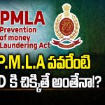 Power of P.M.L.A : PMLA పవరేంటి ? ఈడీకి చిక్కితే అంతేనా ?
