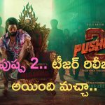Pushpa 2 Teaser: జాతర గెటప్.. జాతర సీన్లు.. జాతర యాక్షన్.. జాతర గెటప్ లో అల్లు అర్జున్.. గూస్‌బంప్స్ తెప్పిస్తున్న టీజర్