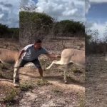 Donkey – Man Video: ఓర్నీ గాడిదతో ఎకసెక్కాలా.. దెబ్బకు తిక్క కుదిరిందిగా..!