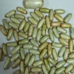 Cocaine Capsules : కడుపులో కొకైన్ క్యాప్సూల్స్.. వాటి విలువ రూ.11 కోట్లు..