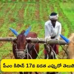 PM Kisan 17th Installment Date: పీఎం కిసాన్ 17వ విడత.. రైతుల ఖాతాలకు రూ. 2000.. ఎప్పుడో తెలుసా?