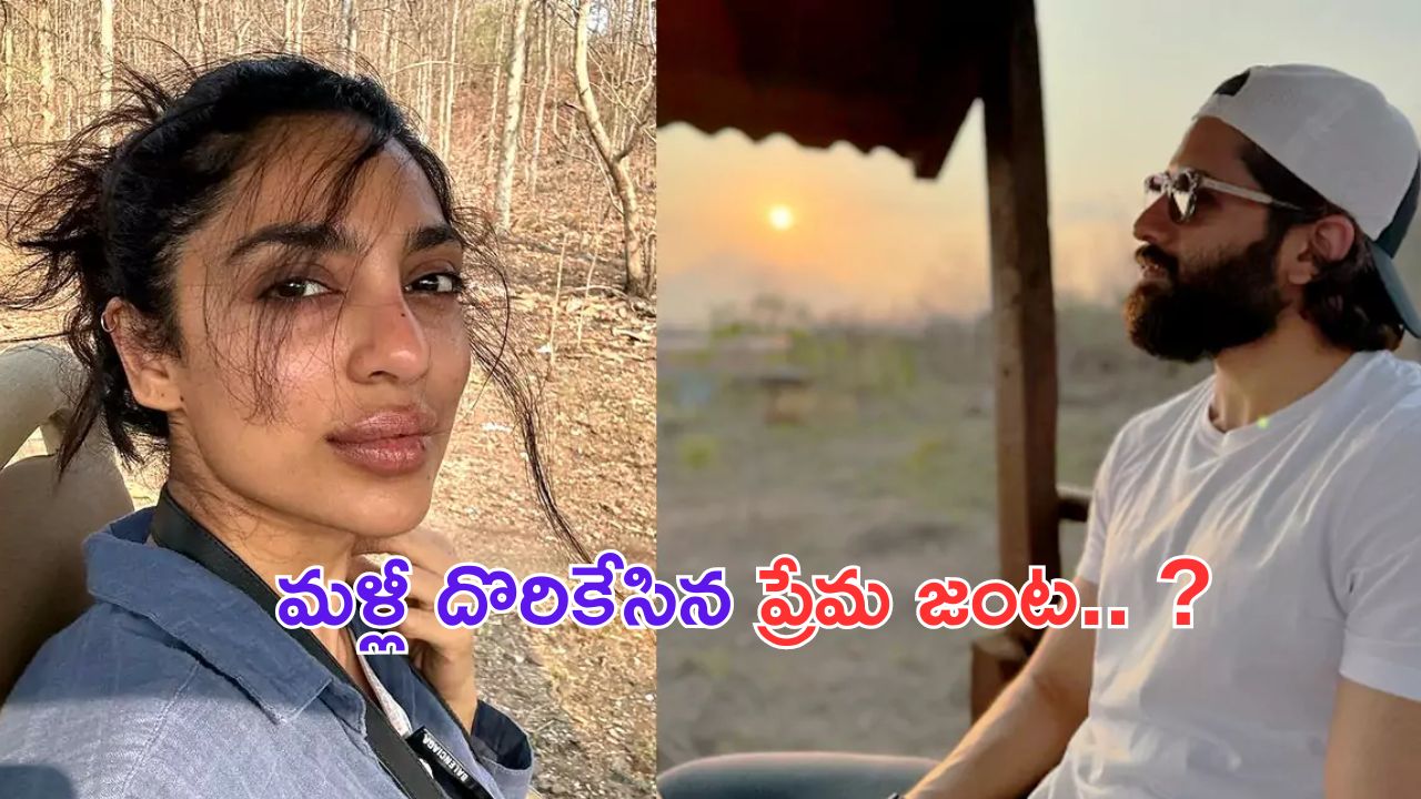 Naga Chaitanya 2nd Marriage: తెలుగు హీరోయిన్ తో నాగ చైతన్య రెండో పెళ్లి..?